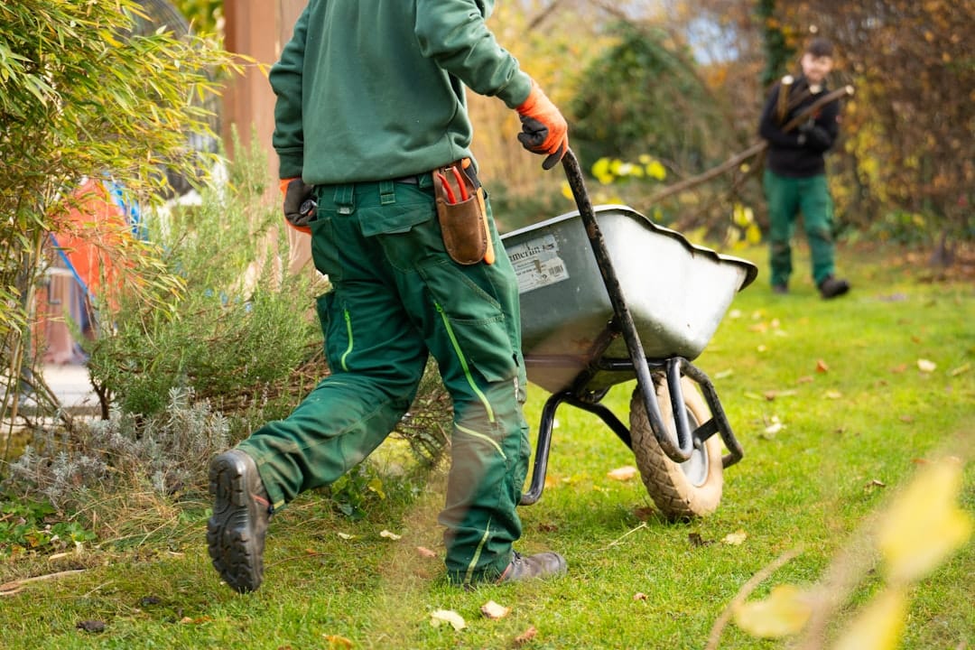 Landscapers cleaning the garden. Person pushing an empty wheelbarrow.